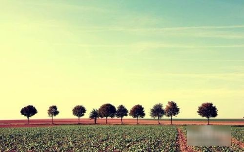 初学者怎样增加微信好友数量？